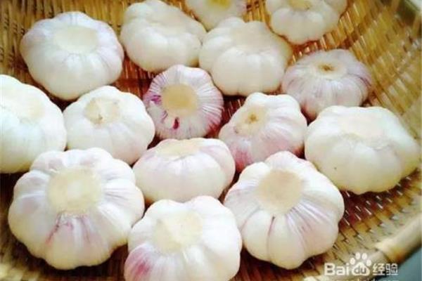 腌咸蒜的正宗方法