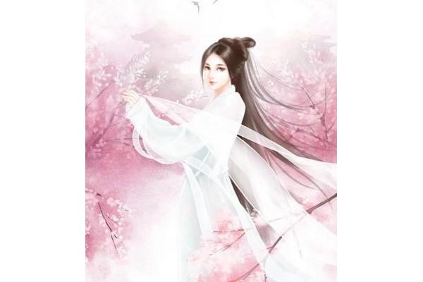 穿越女尊文