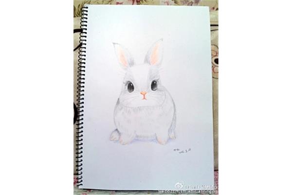 兔子绘画作品