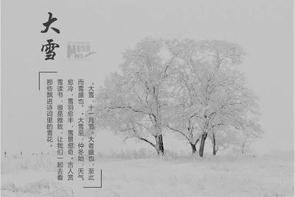 描写雪的诗句