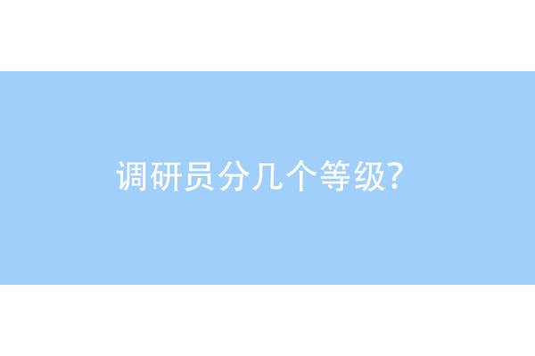 一二三四级调研员