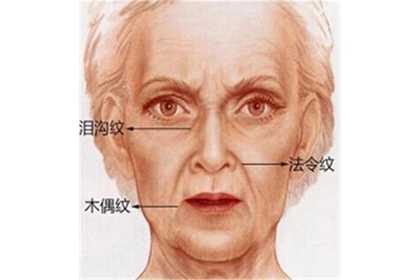 未老先衰的意思