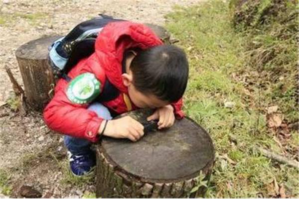 怎样保护大自然
