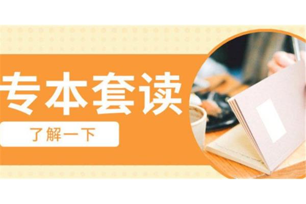专本套读怎么报考