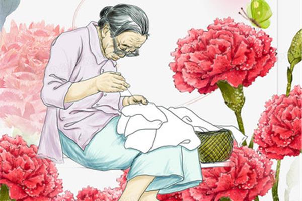母亲节康乃馨