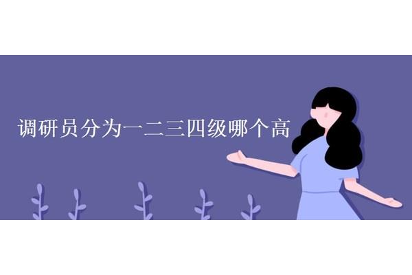 一二三四级调研员