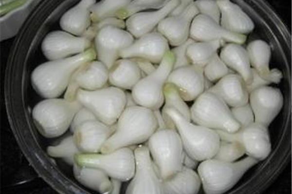 腌咸蒜的正宗方法