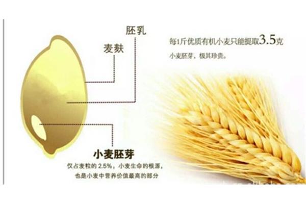 小麦的营养成分