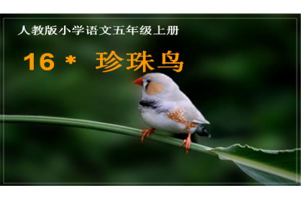 动物的诗句