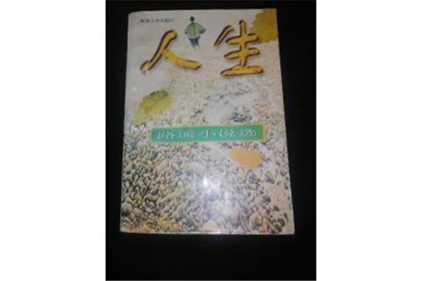 人生路遥小说