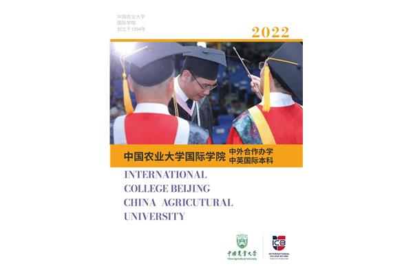 中外合办的大学