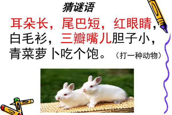 猜动物谜语儿童