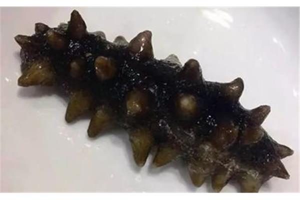 海参怎么选