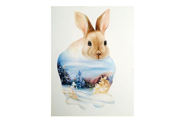 兔子绘画作品