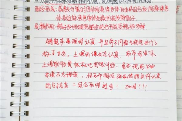 教师给学生的评语