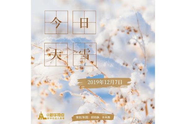 大雪纷纷何所似