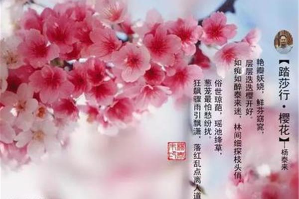 关于二月的诗句