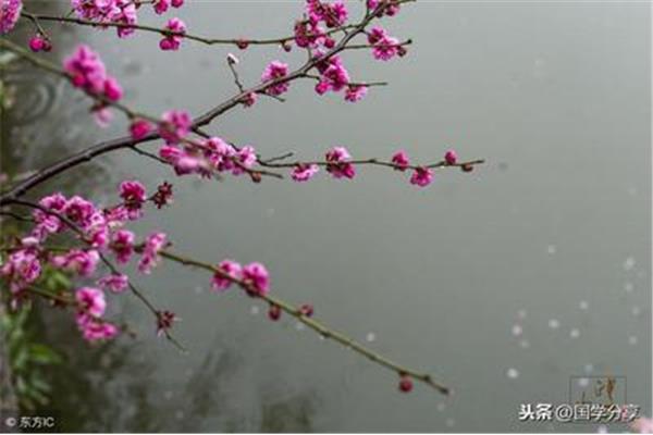带雪的诗词