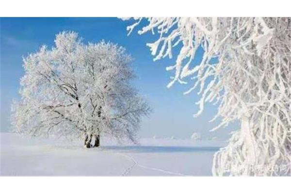 带雪的诗词
