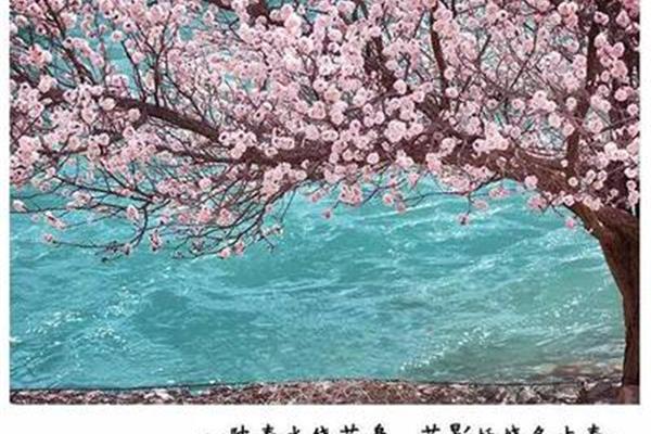 北陂杏花王安石
