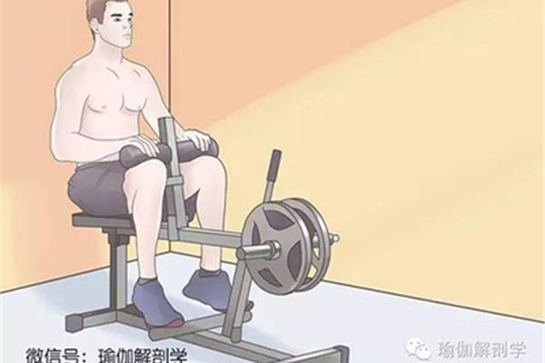 如何拉伸小腿肌肉