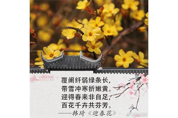 带雪的诗词