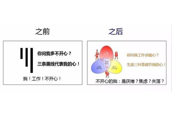 我的职业价值观