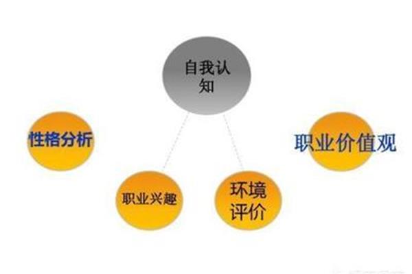 我的职业价值观