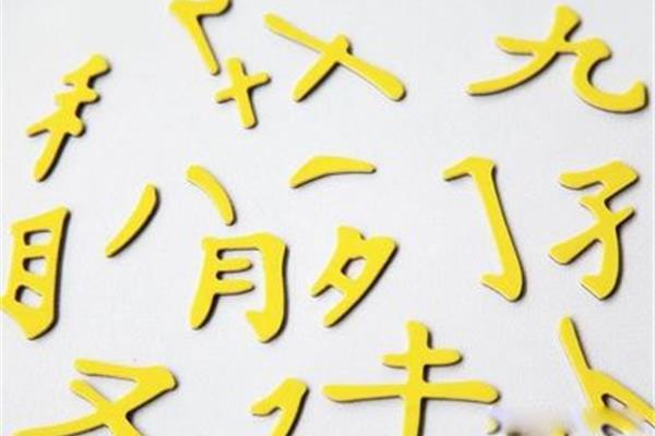 领的部首是什么