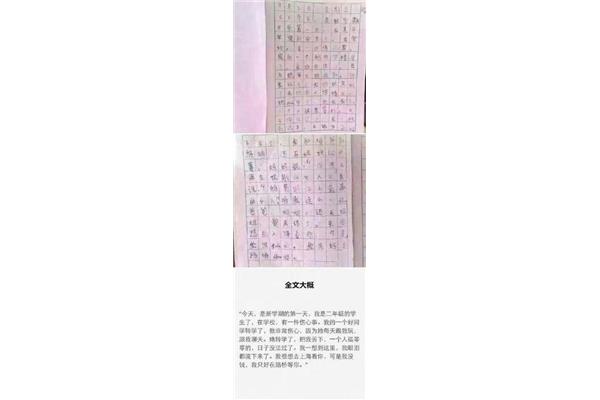 一件伤心事作文