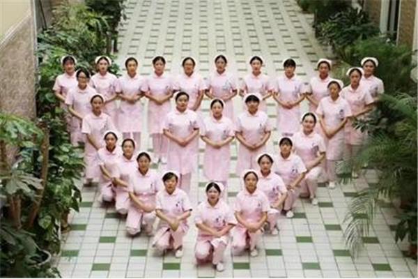 护士是什么专业
