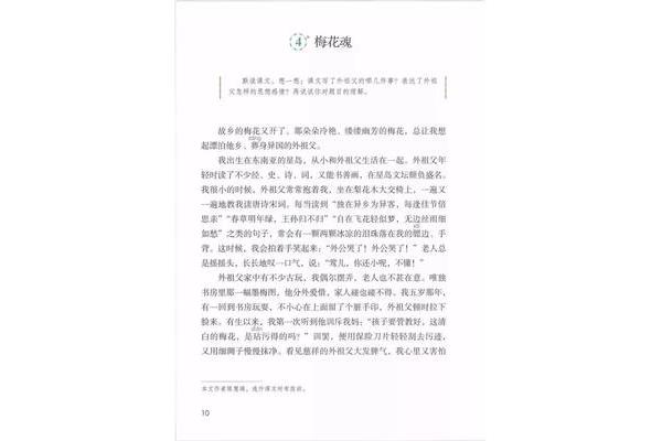 梅花魂作者