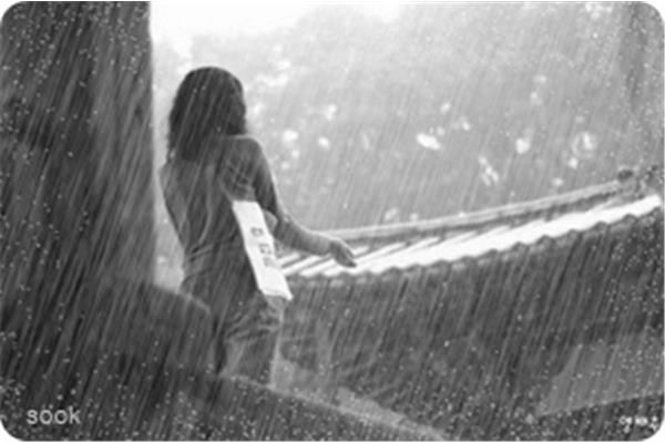 淅沥沥的小雨
