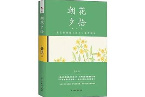 范爱农主要内容