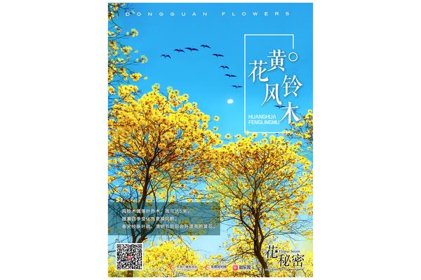 美丽的遇见