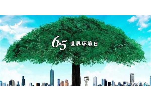 什么的日子