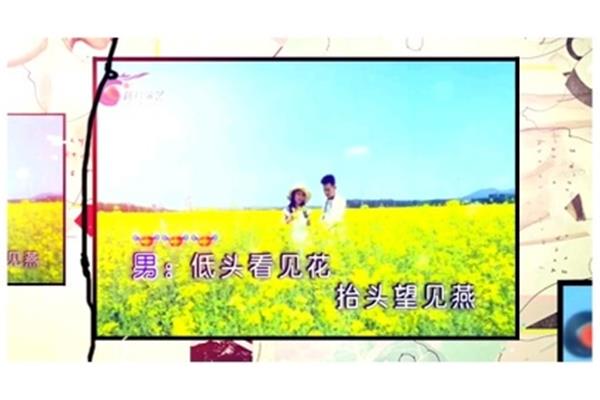 美丽的遇见