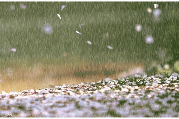 淅沥沥的小雨