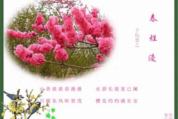 和春有关的诗句