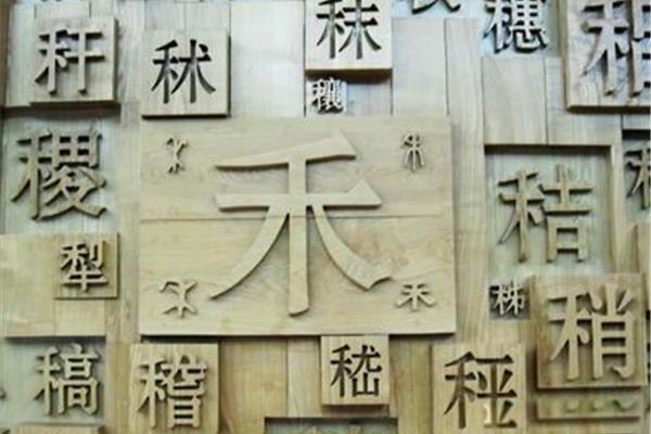 领的部首是什么