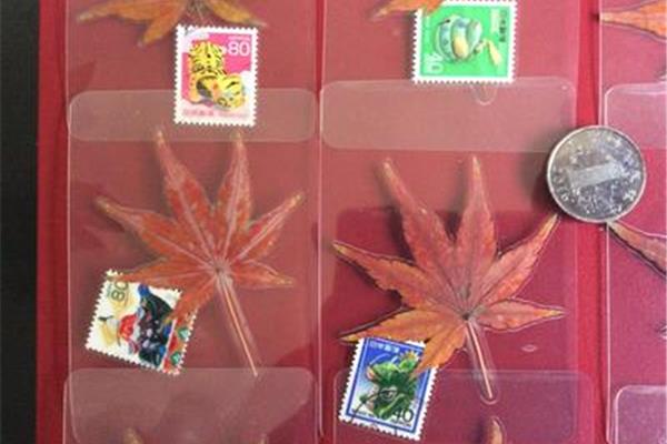 枫叶像邮票扩句