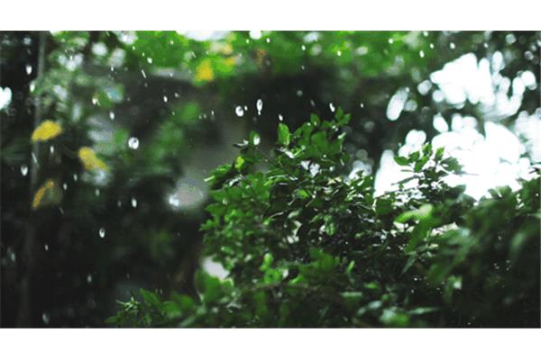 淅沥沥的小雨