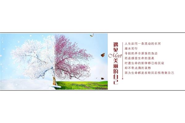 美丽的遇见