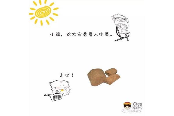 人中黄是什么药材