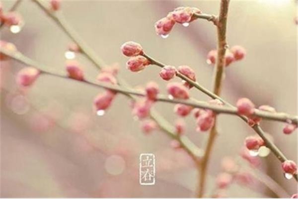 什么时候打春