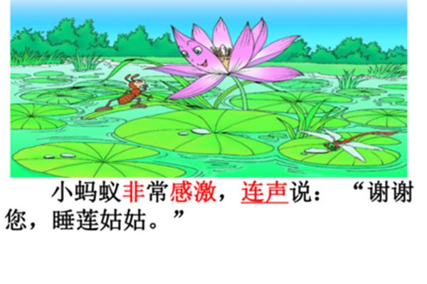 夏夜多美课文