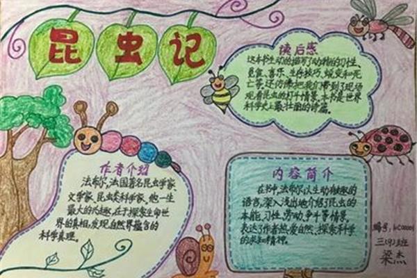 读书笔记内容