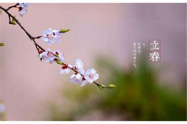 什么时候打春