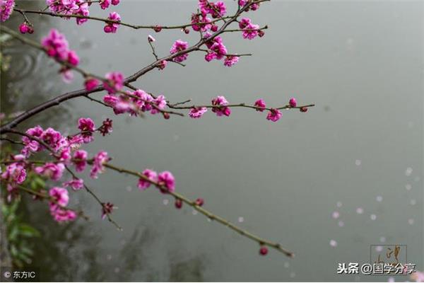 带雪的诗词