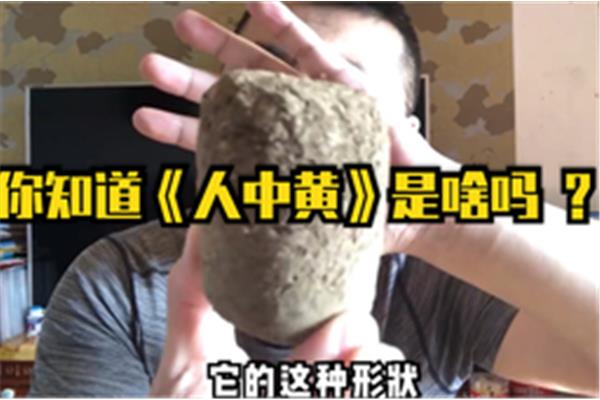 人中黄是什么药材